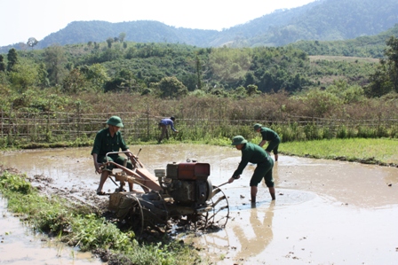 BĐBP Kon Tum giúp dân canh tác nông nghiệp