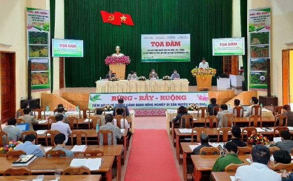 Hội thảo sản xuất nông nghiệp sinh thái  rừng - rẫy - ruộng gắn với trồng cây dược liệu tại huyện Kon Plông