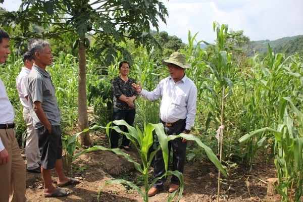 Đồng chí A Pớt - Phó Bí thư Thường trực Tỉnh ủy thăm mô hình trồng cây mắc ca của hộ ông A Giao ở thôn 4, xã Đăk Pne. (ảnh: kontum.gov.vn)