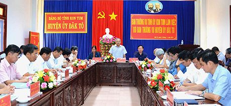 Đồng chí Bí Thư Tỉnh ủy Nguyễn Văn Hùng phát biểu tại buổi làm việc. Ảnh: MT