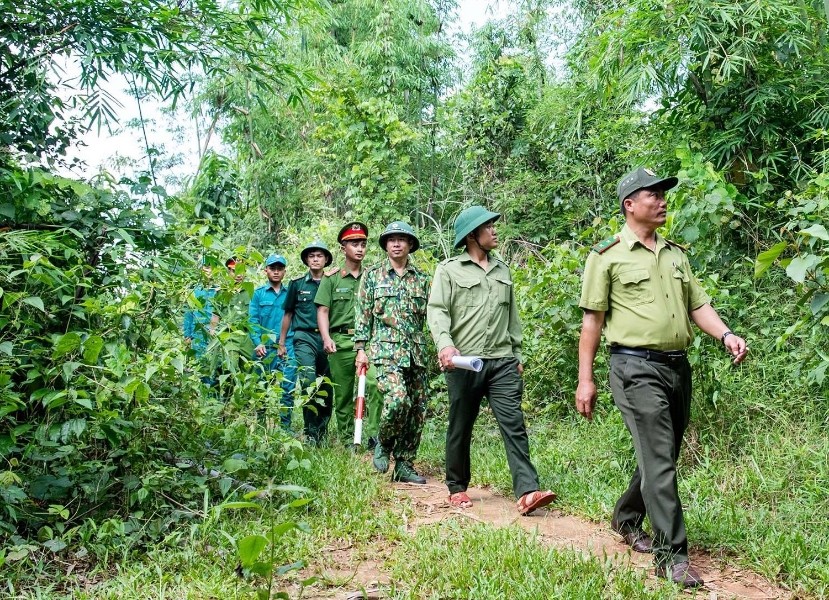 Lực lượng chức năng thường xuyên phối hợp tuần tra quản lý, bảo vệ rừng